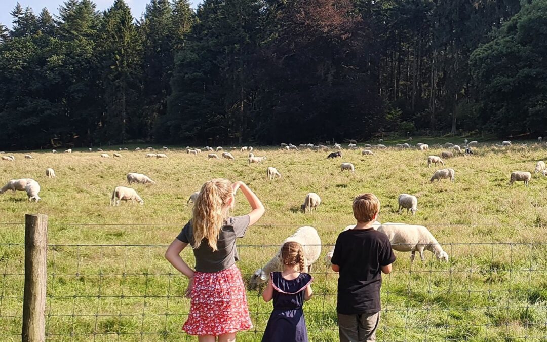 BLOG – Liefhebben & Loslaten