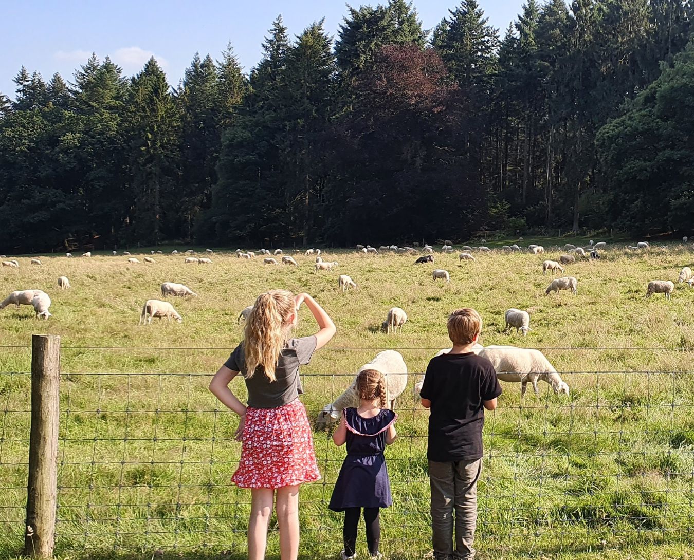 Kinderen Selina loslaten